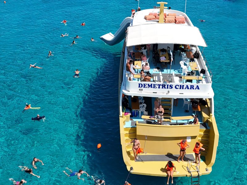 dmetris-chara